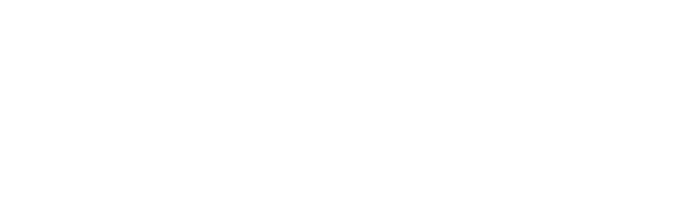 CyberNordic_Logo_Secondary_White web
